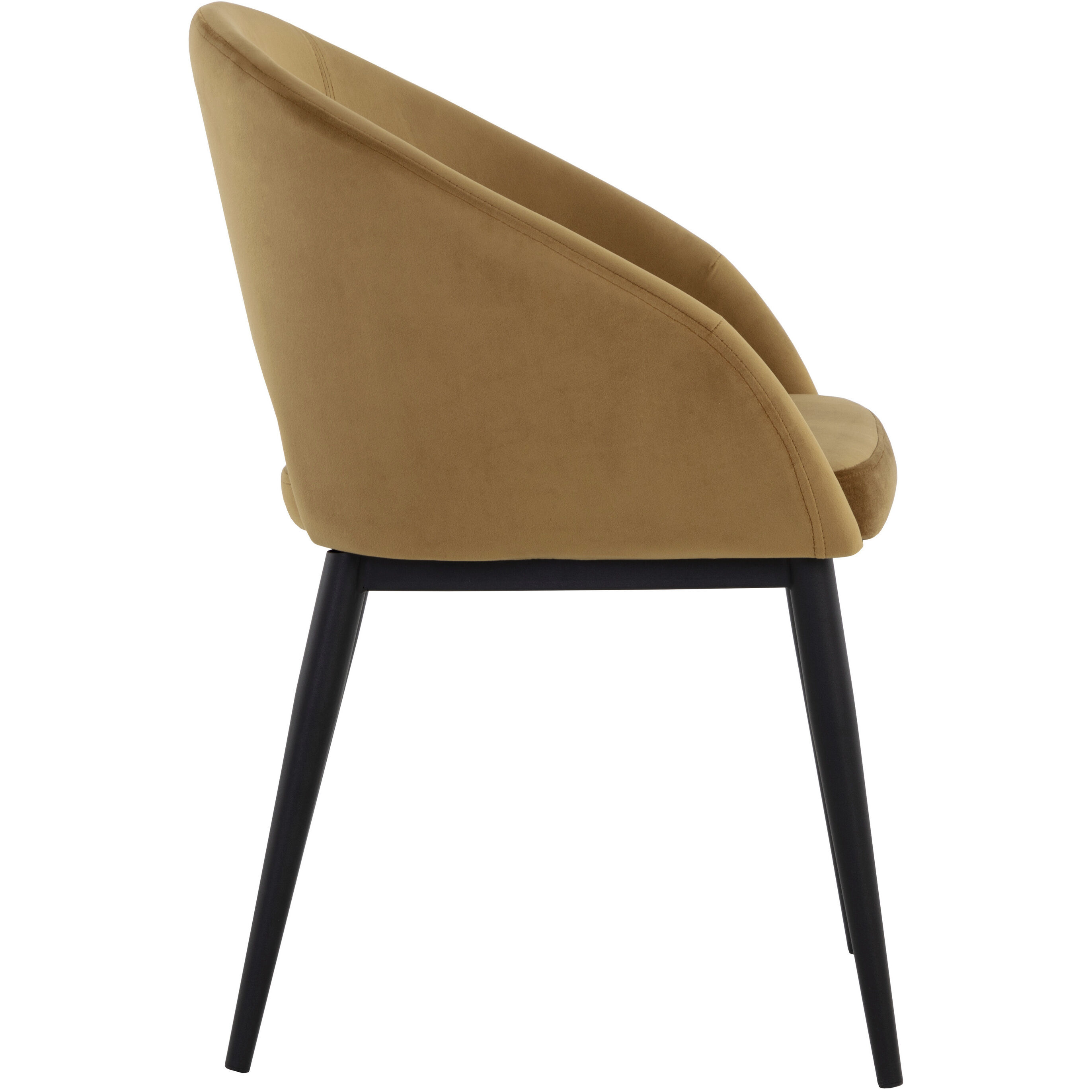 Thatcher Black / Gold Sky Dining Armchair